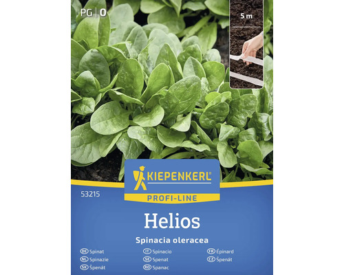 Kiepenkerl Profi-Line Helios balíček semien špenátu