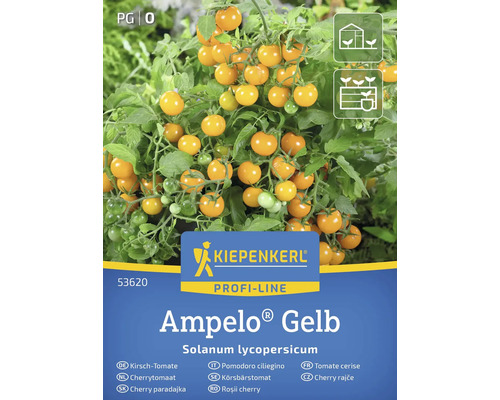 Balenie semienok cherry paradajok Kiepenkerl Ampelo Gelb