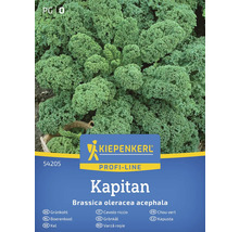 Kiepenkerl Kapitan Kel semienka