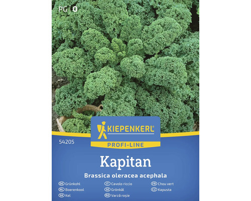 Kiepenkerl Kapitan Kel semienka