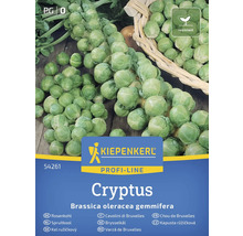 Kiepenkerl Kel ružičkový Cryptus semená