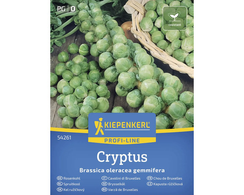 Kiepenkerl Kel ružičkový Cryptus semená