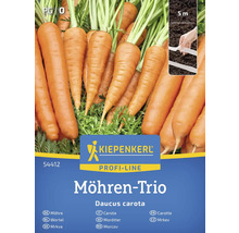 Semená mrkvy značky Kiepenkerl