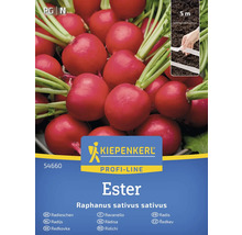 Kiepenkerl Profi-Line Reďkovka Ester balenie semien