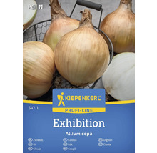 Výstavná cibuľa Kiepenkerl v košíku