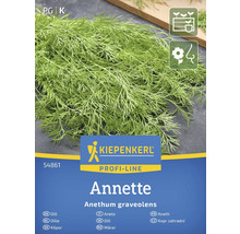 Semená kôpru odrody Annette