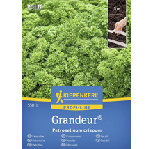 Semená petržlenu značky Kiepenkerl, odroda Grandeur, 5-metrový riadok na siatie