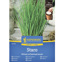 Kiepenkerl Staro pažítka rastlina v kvetináči