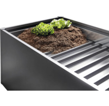 Vyvýšený záhon so zeminou a šalátom