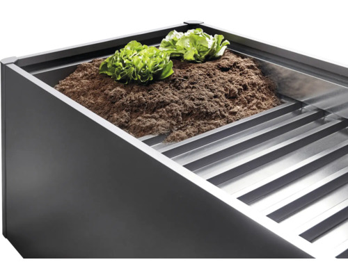 Vyvýšený záhon so zeminou a šalátom