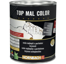 Nádoba s farbou Top Mal Color