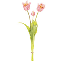 Kytica tulipánov s tromi kvetmi a zelenými listami