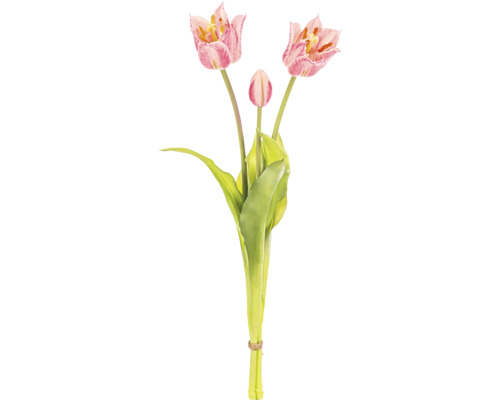 Kytica tulipánov s tromi kvetmi a zelenými listami