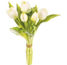 Kytica bielych tulipánov