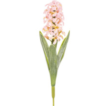 Hyacint ako umelá kvetina