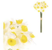 Kytica narcisov s bielymi okvetnými lístkami a žltým stredom