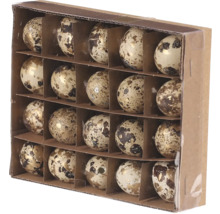 Dekoratívne prepeličie vajcia v kartónovej krabici na sezónne dekorácie