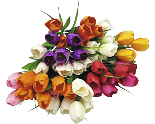 Kytica farebných tulipánov