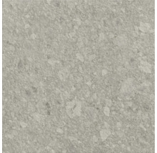 Sivá dlaždica z jemnej kameniny s kamenným vzhľadom