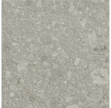 Sivá podlahová dlaždica s kamenným vzorom