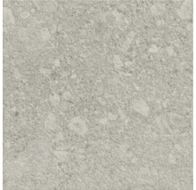 Dlaždica s kamenným dekorom