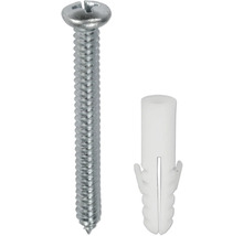 Skrutka s hmoždinkou