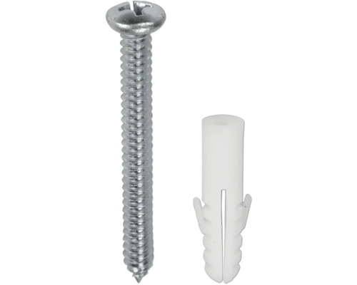 Skrutka s hmoždinkou