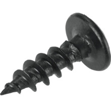 Čierny skrutka s veľkou hlavou