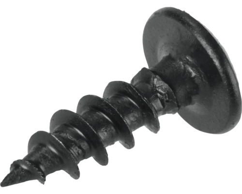 Čierny skrutka s veľkou hlavou