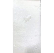 Tapeta so vzorom peria a kvetov