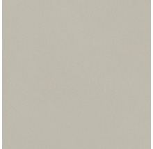 Jednofarebná plocha