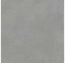 Sivá podlahová dlaždica s matným povrchom.