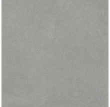 Sivá dlažba z jemnej kameniny