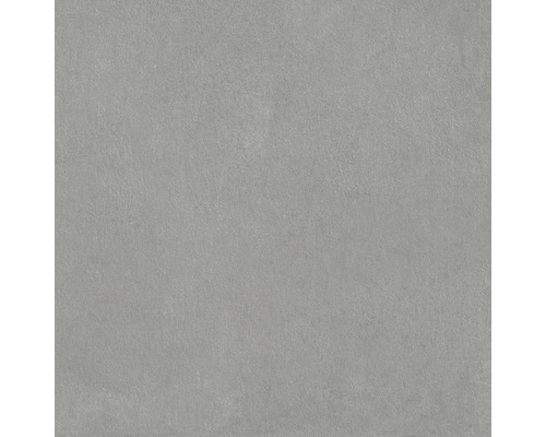 Sivá dlažba z jemnej kameniny