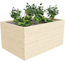 Drevený vyvýšený záhon s rastlinami