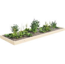 Drevený vyvýšený záhon s rastlinami