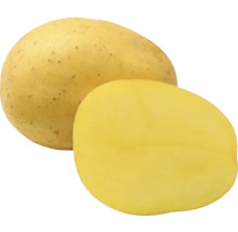 Celá a polovica zemiaka