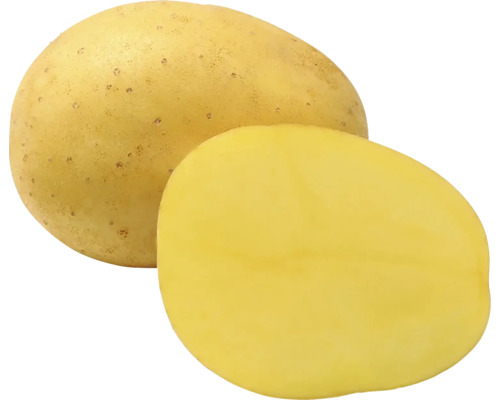 Celá a polovica zemiaka