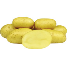 Žlté zemiaky, niektoré naskladané, jeden rozpolený