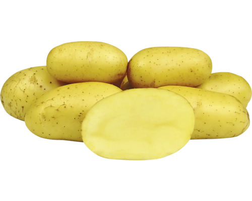 Žlté zemiaky, niektoré naskladané, jeden rozpolený