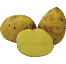 Tri zemiaky, jeden rozpolený