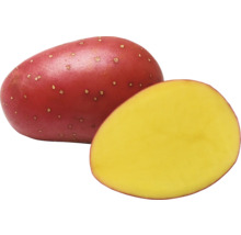 Červená zemiak, rozkrojená