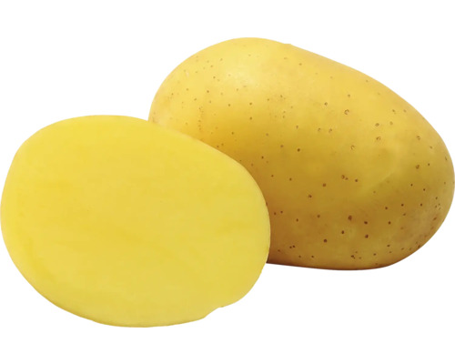 Celá zemiak a pol zemiaku