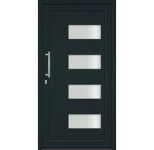 Vchodové dvere so štyrmi obdĺžnikovými sklenenými panelmi a nerezovou kľučkou