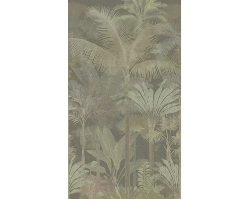 Tapeta s tropickým vzorom paliem a listov džungle.