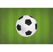 Futbalová lopta na trávniku