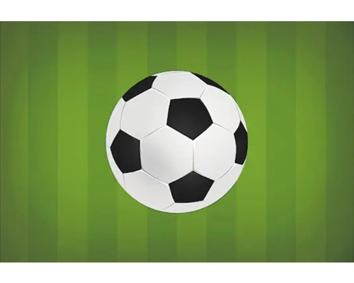 Futbalová lopta na trávniku