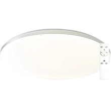 Oválne stropné svietidlo s diaľkovým ovládaním