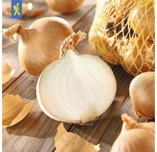 Cibuľa, niektoré nakrájané, na drevenom stole