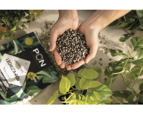 Hrsť rastlinného substrátu Lechuza Pon nad balením a rastlinami